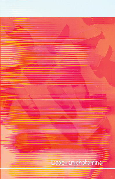 Lisdexamphetamine Type Book back cover, 2025.